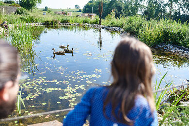 Gäste bestaunen den Regenwasser-Speicherteich des Bio-Bauernhofs Frei-Hof | © SONNENTOR/@nudlholz.at