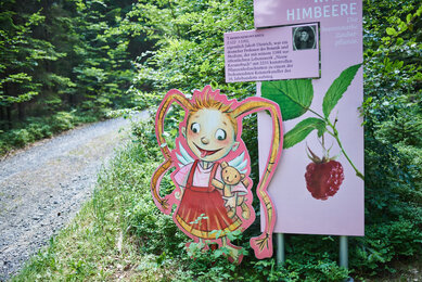 Info-Schild zur Himbeere am Kräuterwanderweg | © SONNENTOR/@nudlholz.at