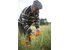 Photo of a satisfied SONNENTOR farmer standing in a calendula field and holding individual calendula blossoms in his hands.