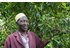 Photo of a man next to a clove tree.