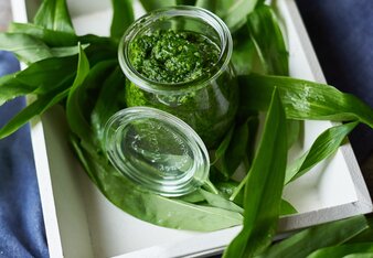 Auf dem Foto sieht man ein Gläschen mit Wildkräuterpesto zu sehen. Das Glas steht auf Bärlauchblättern. | © SONNENTOR