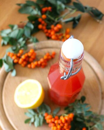 Auf dem Foto sieht man eine Flasche mit Vogelbeerensirup. Daneben sind eine halbe Zitrone und Vogelbeeren zu sehen. | © SONNENTOR