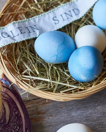 Auf dem Foto sieht man blaue und weiße Ostereier in einem Nest liegen. Daneben sieht man Rotkraut. | © SONNENTOR