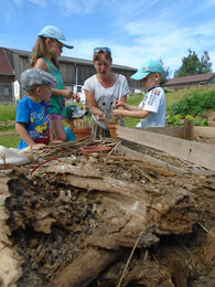 Auf dem Foto sieht man die Kinder im Freihof mitarbeiten. | © SONNENTOR