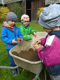 Auf dem Foto sieht man die Kinder bei einer Scheibtruhe gefüllt mit Erde. | © SONNENTOR