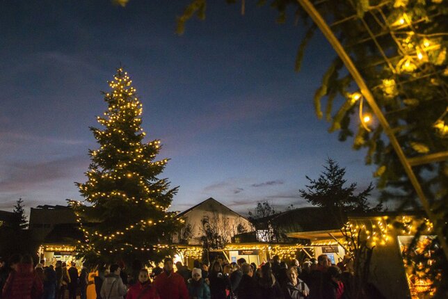 Auf dem Foto ist ein Adventmarkt zu sehen. Es befinden sich viele Personen am Adventmarkt. | © SONNENTOR